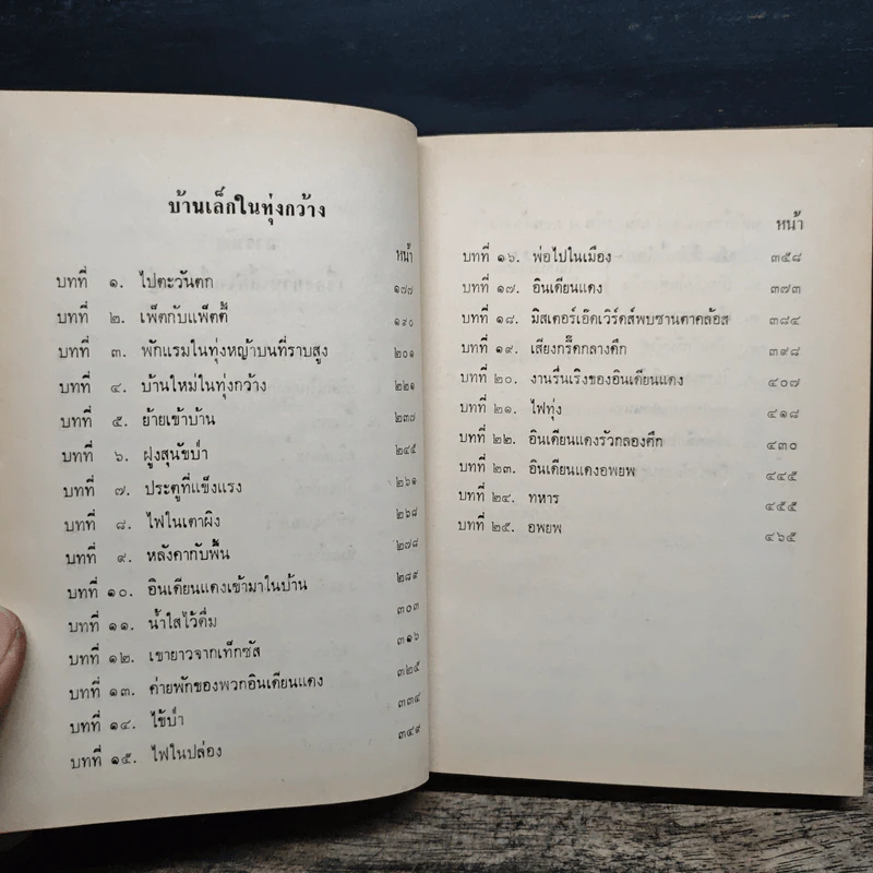 บ้านเล็กในป่าใหญ่ รูปที่ 8