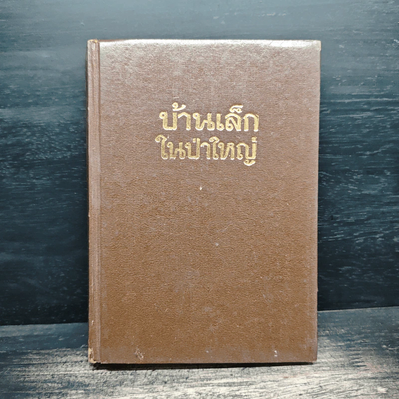 บ้านเล็กในป่าใหญ่ รูปที่ 1