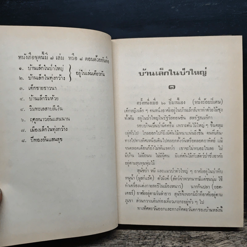บ้านเล็กในป่าใหญ่ รูปที่ 9