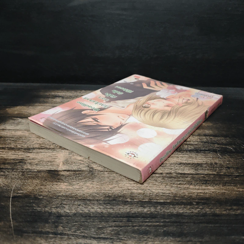 Deadline ขีดเส้นตายบอกหัวใจยังไงก็ใช่เธอ - silly sis รูปที่ 5