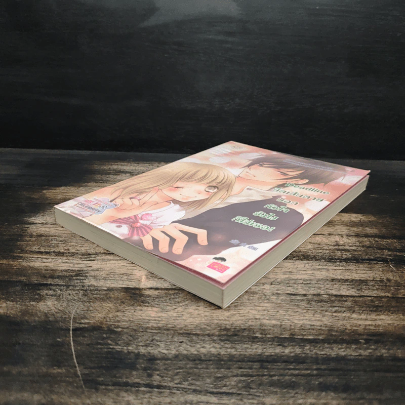 Deadline ขีดเส้นตายบอกหัวใจยังไงก็ใช่เธอ - silly sis รูปที่ 4