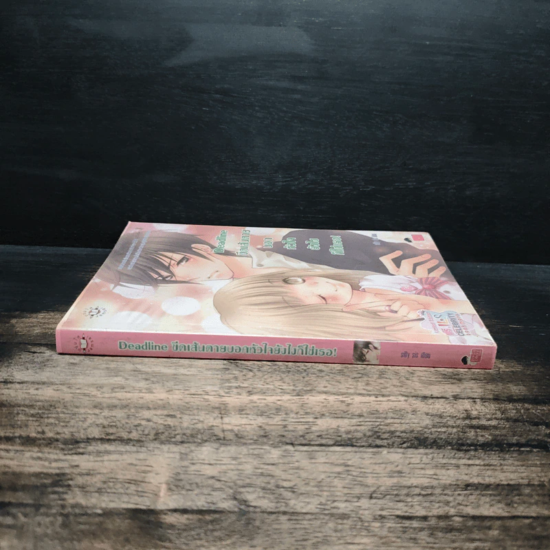 Deadline ขีดเส้นตายบอกหัวใจยังไงก็ใช่เธอ - silly sis รูปที่ 3