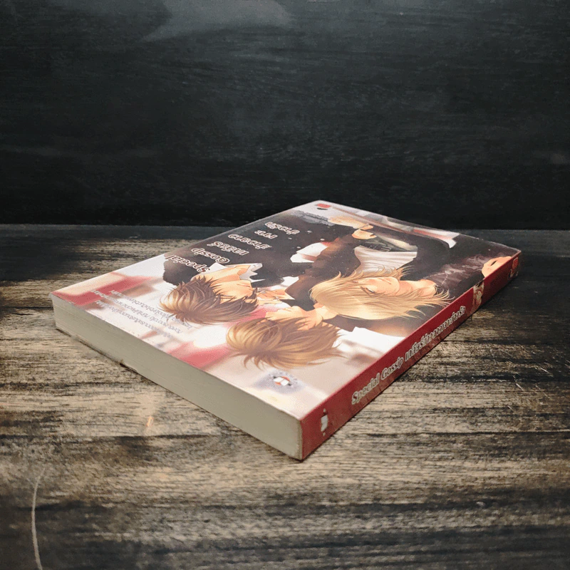 Special Gossip เคลียร์ข่าวฉาวเจาะข่าวรัก - Hideko_Sunshine, Merlin, เจ้าหญิงผู้เลอโฉม รูปที่ 5