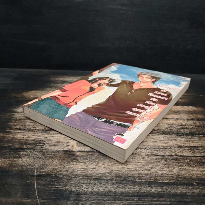 Destiny of Love โชคชะตารักเปิดประตูใจคุณชายแบดบอย - piano รูปที่ 4