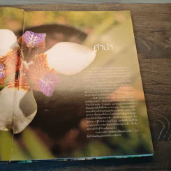 สวนในบ้าน เล่ม 12 สวนขนาดเล็ก รูปที่ 7