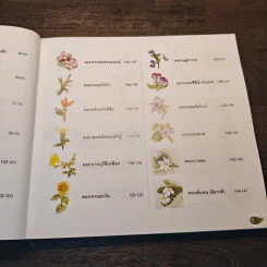 แต้มสีให้เป็นดอก เล่ม 1 - ทวีพงษ์ ลิมาภรณ์วณิชย์ รูปที่ 9