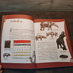ช ช้าง ฅ ฅน - ศรัณย์ ทองปาน รูปที่ 8