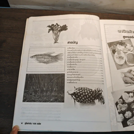 คู่มือทํากิน 108 อาชีพ กับช่องทางทําเงิน รูปที่ 6