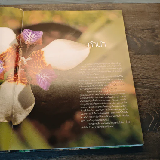 สวนในบ้าน เล่ม 12 สวนขนาดเล็ก รูปที่ 7
