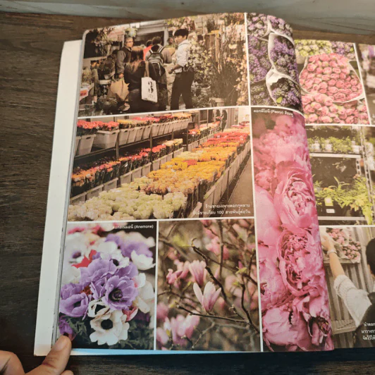 Blooming  Journey in New York City - ปนิธาน ทองสถิตย์ รูปที่ 6
