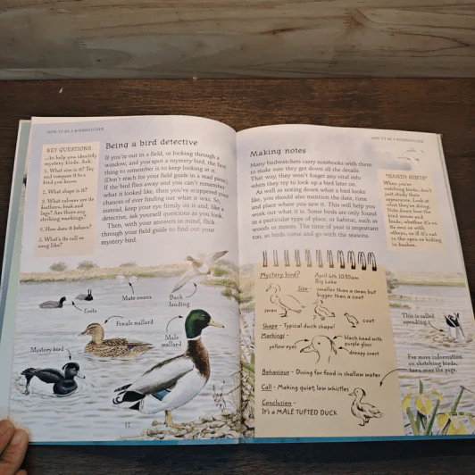 Birdwatching รูปที่ 7
