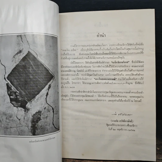 ตำรายาจารึกวัดราชโอรสและพระโอสถพระนานายณ์ รูปที่ 8