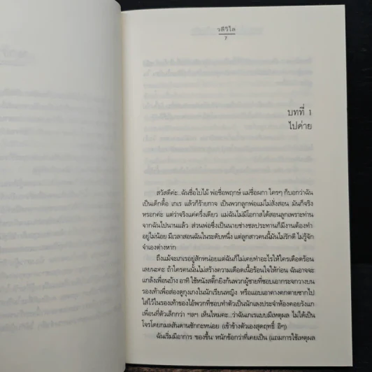 นางสาวใบไม้กับนายก้อนหิน - วลีวิไล รูปที่ 7