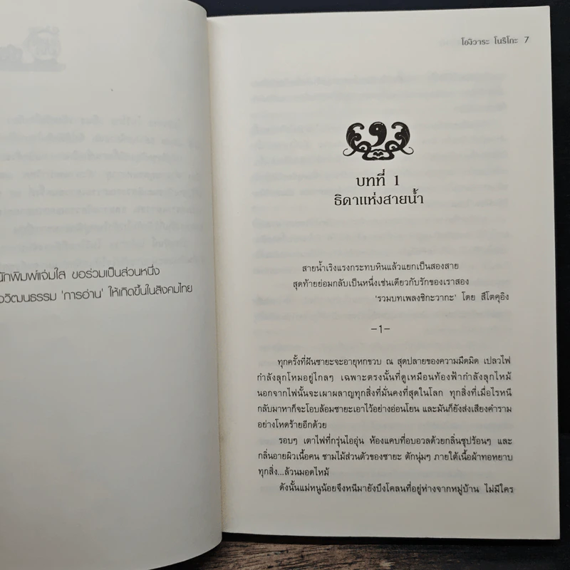 ตำนานบุตรแห่งวายุ - โองิวาระ โนริโกะ, แมวขนฟู รูปที่ 7