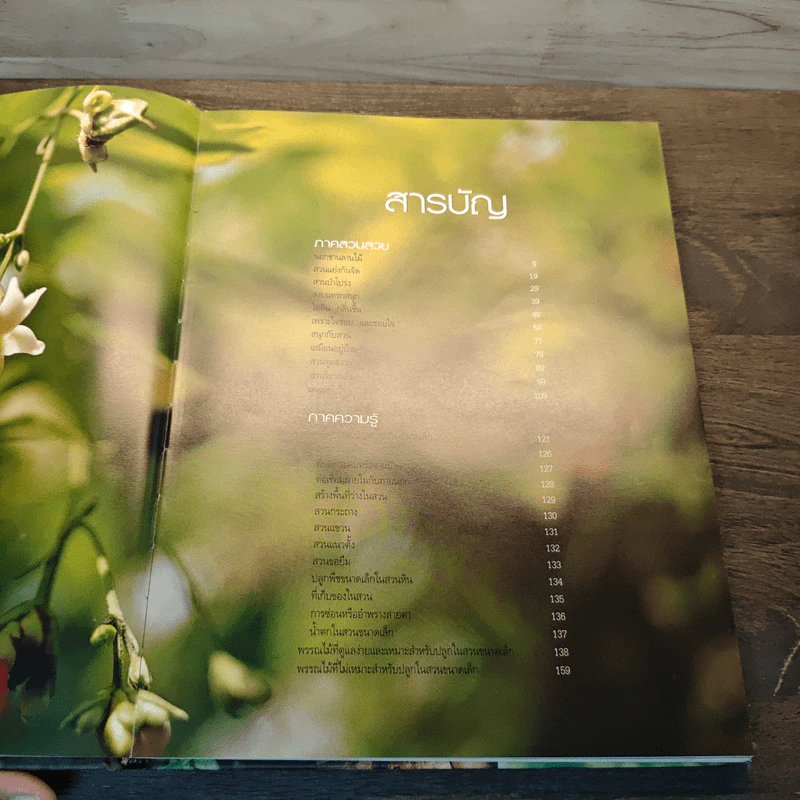 สวนในบ้าน เล่ม 12 สวนขนาดเล็ก รูปที่ 8