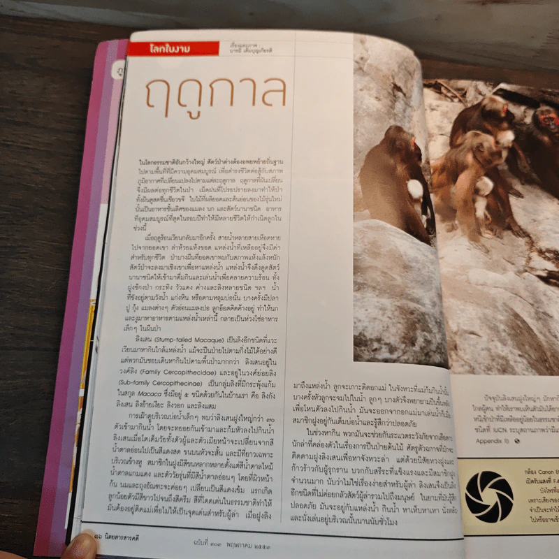 สารคดี ปีที่ 26 ฉบับที่ 303 พ.ค.2553 รูปที่ 7