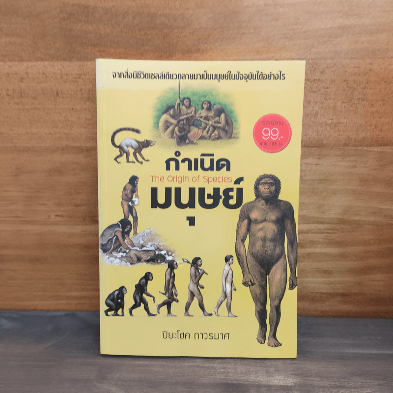 กำเนิดมนุษย์ - ปิยะโชค ถาวรมาศ รูปที่ 1