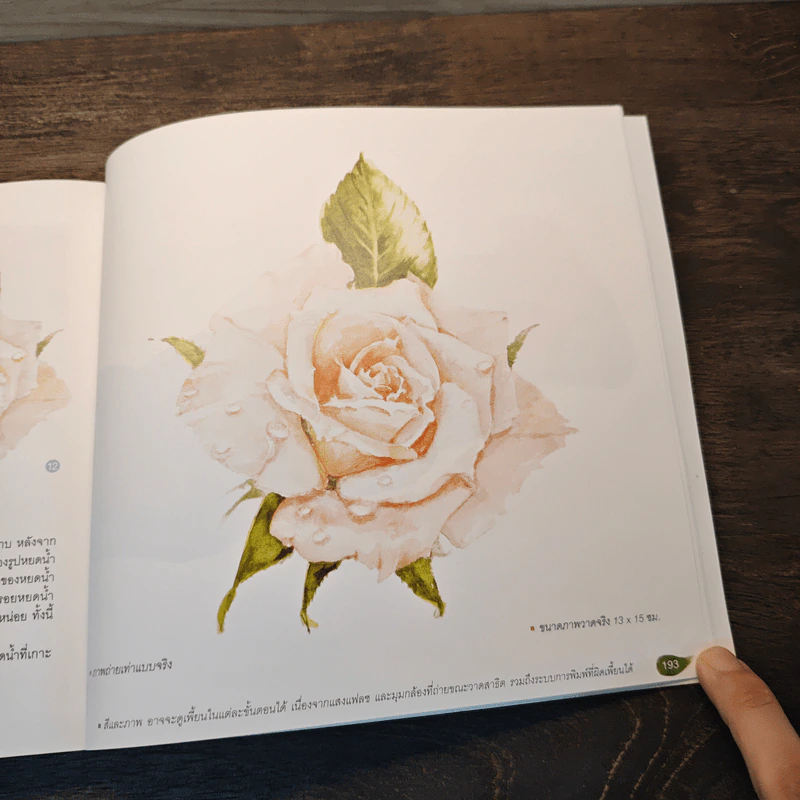 แต้มสีให้เป็นดอก เล่ม 1 - ทวีพงษ์ ลิมาภรณ์วณิชย์ รูปที่ 13