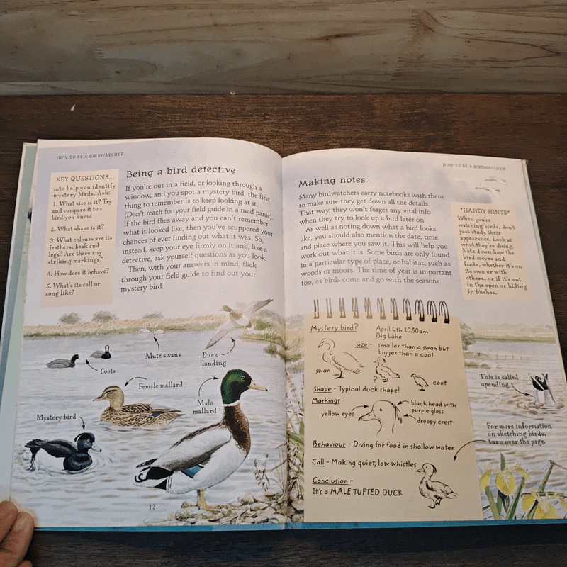 Birdwatching รูปที่ 7