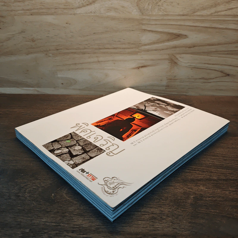 พิศเจริญ หนังสือภาพและอมตธรรมแห่งสองศรีพระศาสนา รูปที่ 3