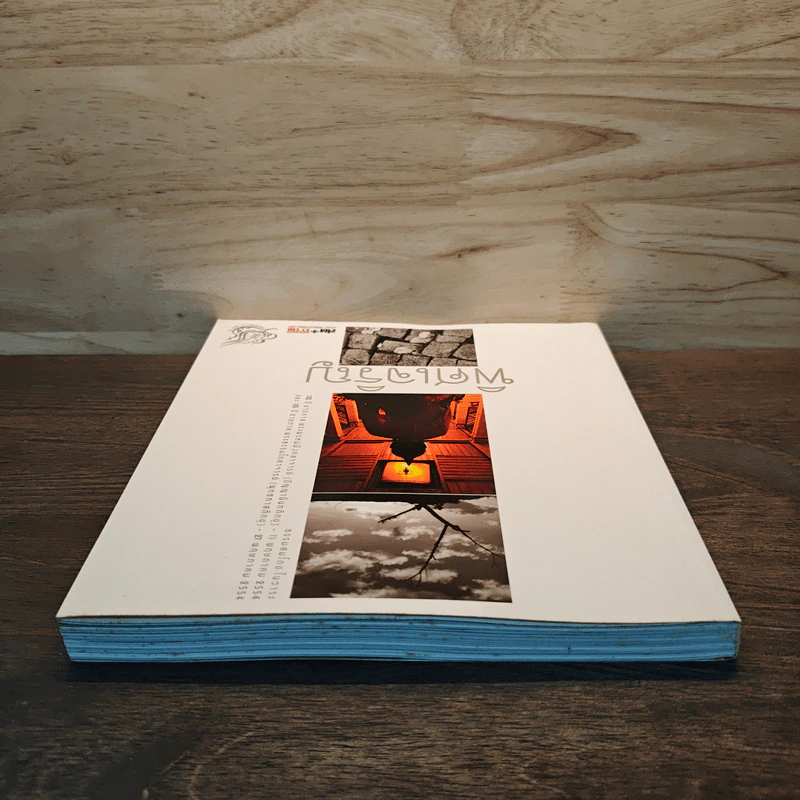 พิศเจริญ หนังสือภาพและอมตธรรมแห่งสองศรีพระศาสนา รูปที่ 4