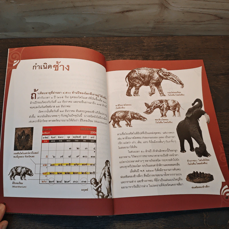 ช ช้าง ฅ ฅน - ศรัณย์ ทองปาน รูปที่ 8