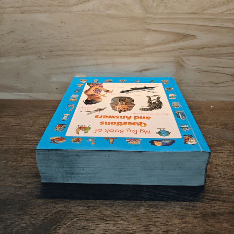 My Big Book of Question and Answers รูปที่ 4