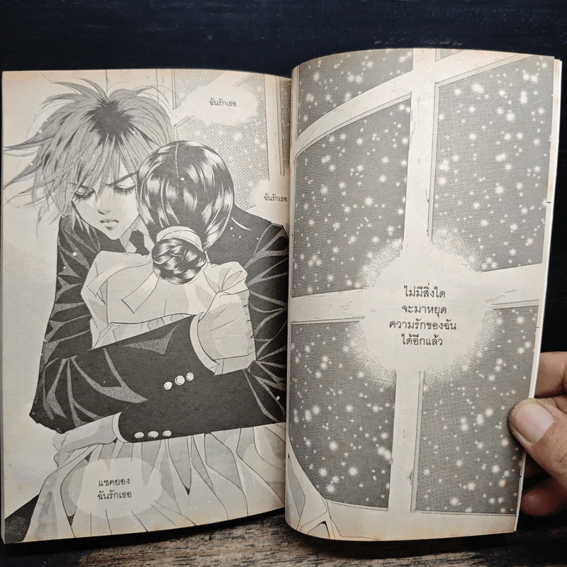 การ์ตูน เจ้าหญิงจอมจุ้นกับรักวุ่นๆในวัง เล่ม 12 รูปที่ 8
