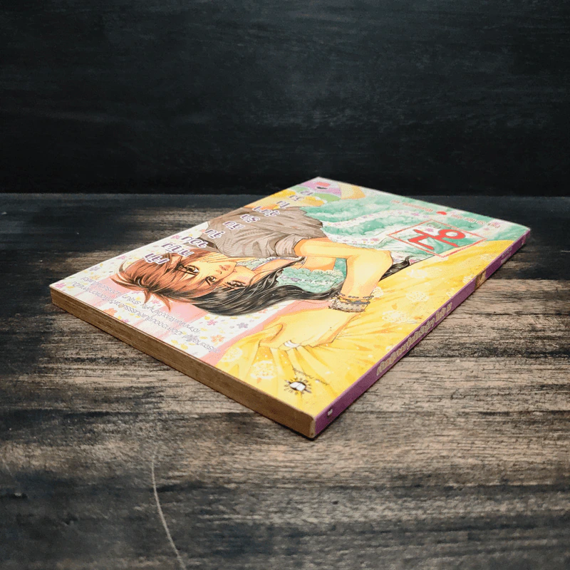 การ์ตูน เจ้าหญิงจอมจุ้นกับรักวุ่นๆในวัง เล่ม 12 รูปที่ 5