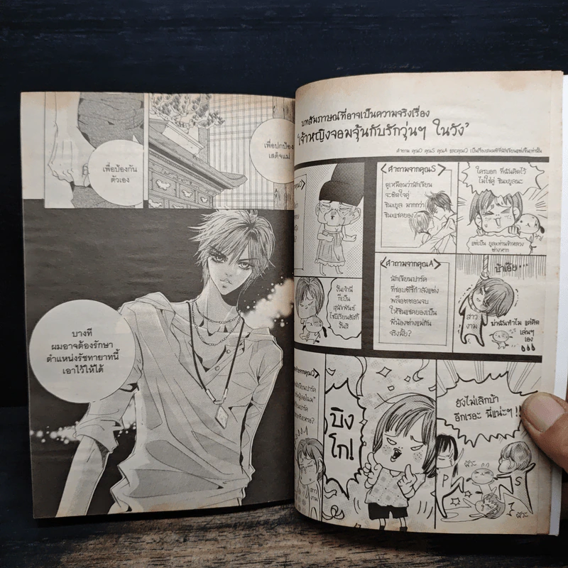 (การ์ตูน เจ้าหญิงจอมจุ้นกับรักวุ่นๆในวัง เล่ม 7 รูปที่ 7