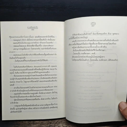 ทางเดินแห่งรัก - วลีวิไล รูปที่ 8