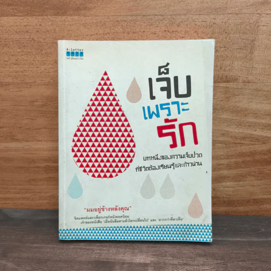 เจ็บเพราะรัก - ผมอยู่ข้างหลังคุณ รูปที่ 1
