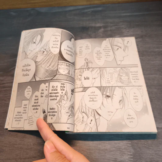 แผนรักร้ายนายหมาป่า เล่ม 5 รูปที่ 8
