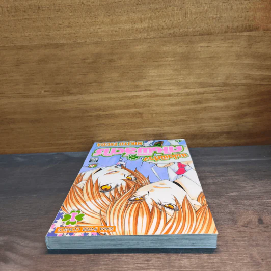 แฝดพิศวง คนพิสดาร เล่ม 1 - Mikiyo Tsuda รูปที่ 4