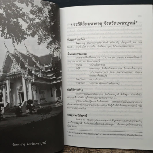 กฐินพระราชทาน มหาวิทยาลัยธรรมศาสตร์ 2545 รูปที่ 8