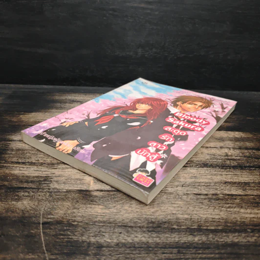Bloody Sakura สะดุดรักสาวนักสู้ - เจ้าหญิงผู้เลอโฉม รูปที่ 4
