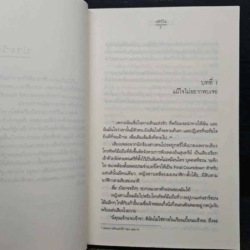 ทางเดินแห่งรัก - วลีวิไล รูปที่ 7