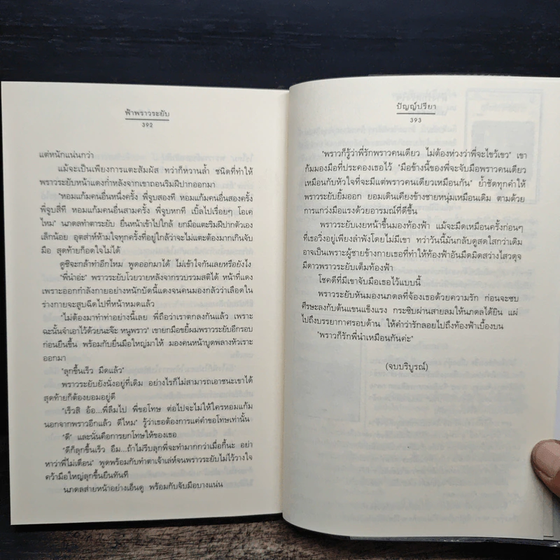 ฟ้าพราวระยับ - ปัญญ์ปรียา รูปที่ 8