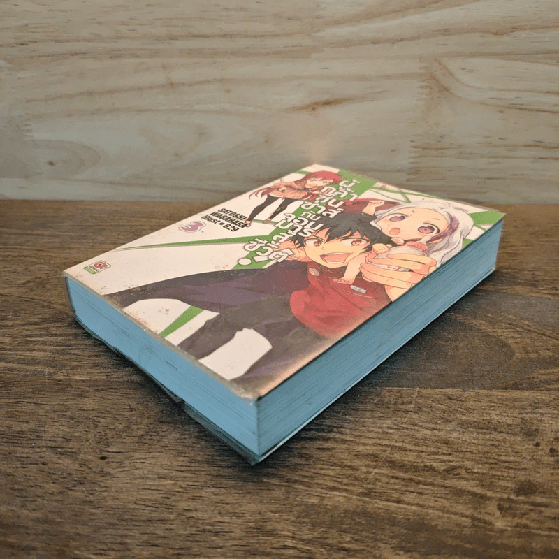 ผู้กล้าซึนซ่าส์จอมมารสู้ชีวิต เล่ม 3 - Satoshi Wagahara lllust รูปที่ 3