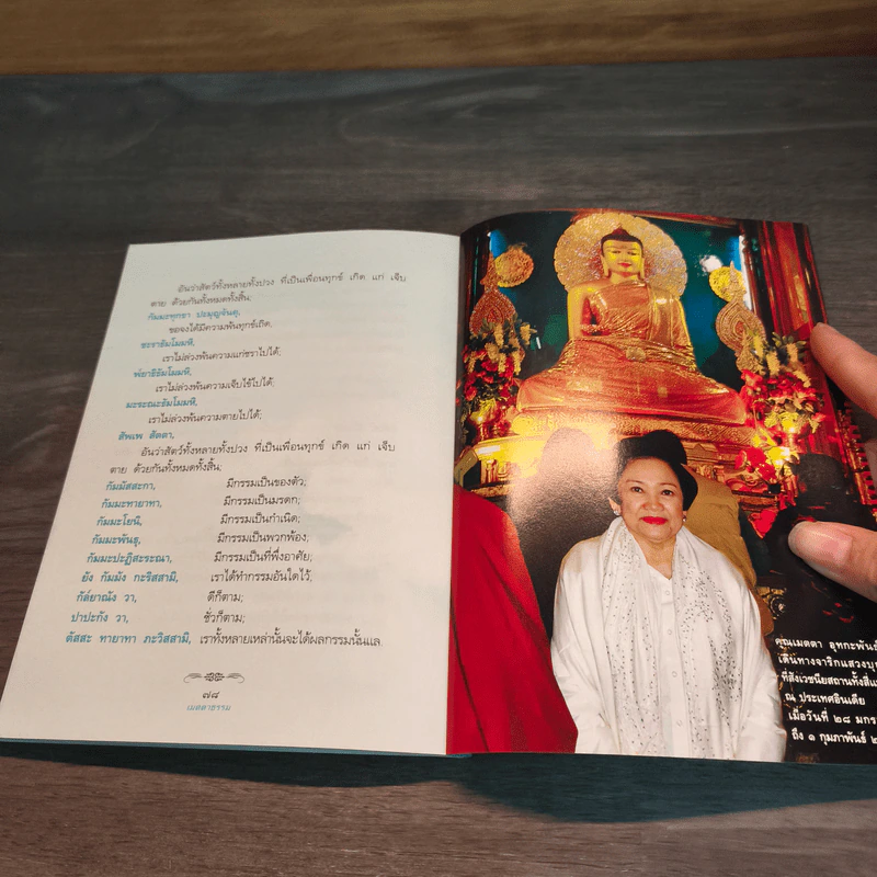 เมตตาธรรม - ว.วชิรเมธี รูปที่ 8