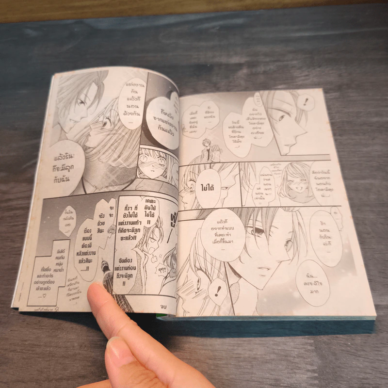 แผนรักร้ายนายหมาป่า เล่ม 5 รูปที่ 8