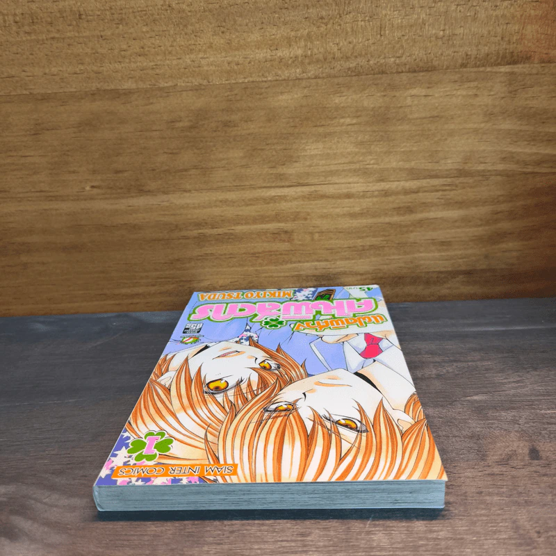 แฝดพิศวง คนพิสดาร เล่ม 1 - Mikiyo Tsuda รูปที่ 4