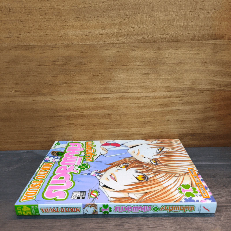 แฝดพิศวง คนพิสดาร เล่ม 1 - Mikiyo Tsuda รูปที่ 2