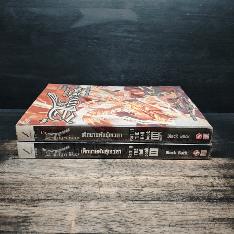 The Angel Boy เด็กชายพันธุ์เทวา Part 2 The World Book เล่ม 2-3 - Black Back รูปที่ 3