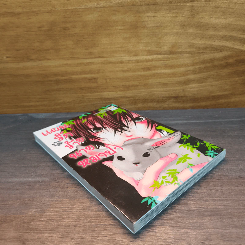 แผนรักร้ายนายหมาป่า เล่ม 1 รูปที่ 3