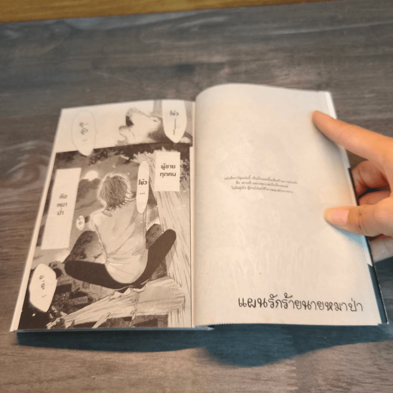 แผนรักร้ายนายหมาป่า เล่ม 1 รูปที่ 6