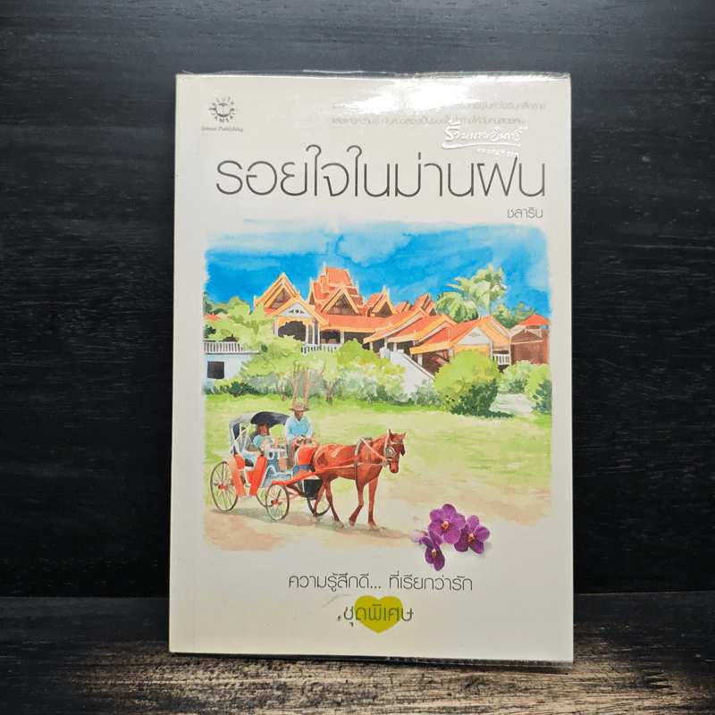 รอยใจในม่านฝน - ชลาริน รูปที่ 1