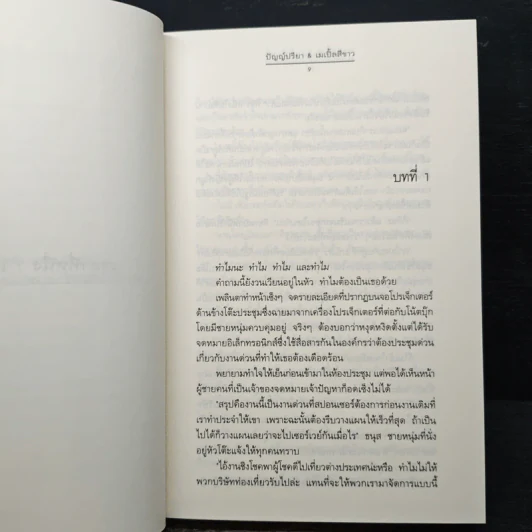 เรื่องรักสองเวลา - ปัญญ์ปรียา, เมเปิ้ลสีขาว รูปที่ 7