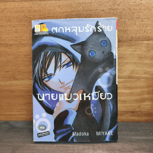 ตกหลุมรักร้ายนายแมวเหมียว รูปที่ 1