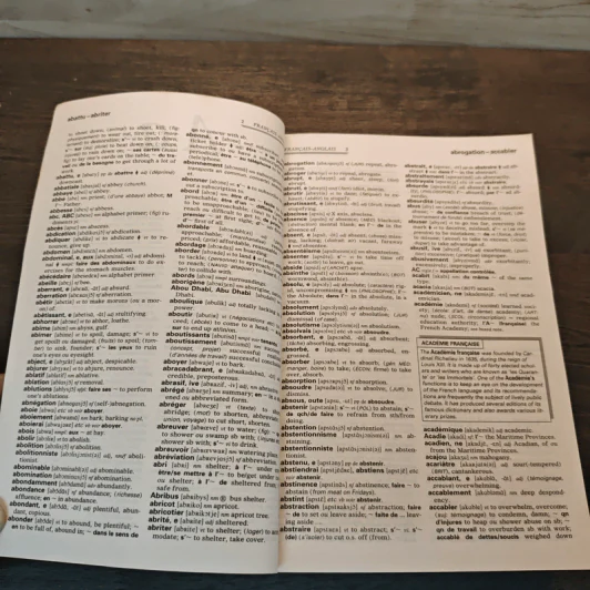 Collins French Dictionary Plus Grammar รูปที่ 8